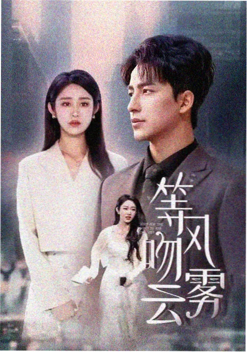 老牛影院高清免费观看电视剧 律政佳人